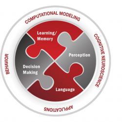 The Center for Cognitive and Brain Sciences areas of research: Learning/Memory, Perception, Language, Decision Making The Center for Cognitive and Brain Sciences areas of research: Learning/Memory, Perception, Language, Decision Making