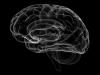 human brain Drawing of human brain.
