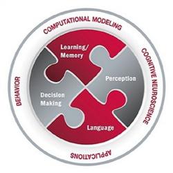 The Center for Cognitive and Brain Sciences Graphic The Center for Cognitive and Brain Sciences Graphic