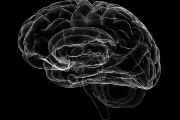 human brain Drawing of human brain.