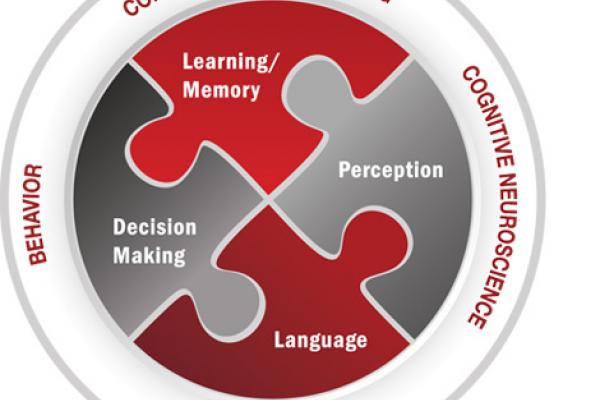 The Center for Cognitive and Brain Sciences areas of research: Learning/Memory, Perception, Language, Decision Making